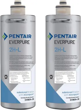 A100 AQUVERSE Everpure Pentair Filter