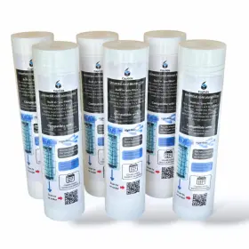 10255 CAPLIDE Plunge Micron Filter Clogging Replacem