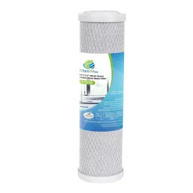 CFS-587 CFS Pack Carbon Block Water Filter Cartridge Watts