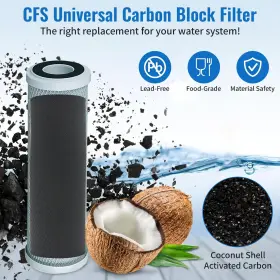 045399078797 CFS Watts Cartridge #3