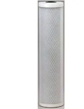 WATTS-MAXETW-FF20 CFS Watts House Filter Cartridge