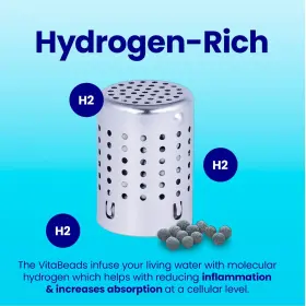 810872021955 DYLN INSPIRED Vitabead Diffuser Creates Hydrogen #2