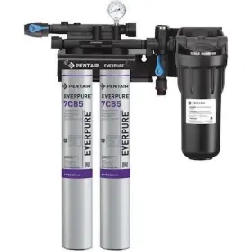 EV979722-75 EVERPURE Steamer Filter Npt Gpm
