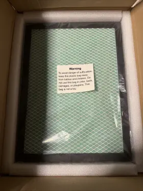 LSP-3300-00-RYGELFBA FILTER Omtech Carbon Cartridge
