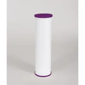 445003212228 GE House Filter Water Fthpm