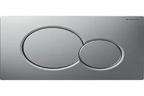 115.770.JQ.5 GEBERIT Pulsador Plastico Barnizado Cromo Mate