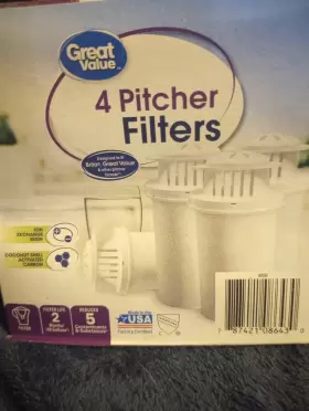 787421086430 GREAT VALUE Pitcher Filter Pack