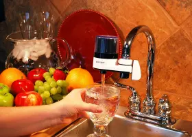 F2BWT3P-1ES INSTAPURE BRANDS Water Filters #2