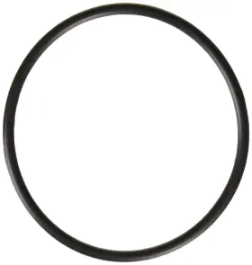 617629986914 O-RING Pack Housing