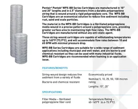 051678006184 PENTEK Pentair Big Sediment Water Filter #2