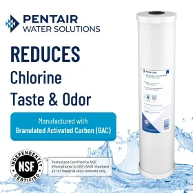 051678247433 PENTEK Pentair Big Carbon Water Filter House He #3