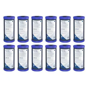 CFB-PLUS10BB PENTEK Pentair Big Carbon Water Filter House