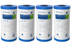 155548-43-APC PENTEK Pentair Ep Big Carbon Water Filter House