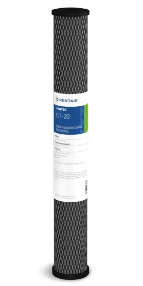 155597-43 PENTEK Pentair Carbon Water Filter House Dual