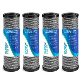 CTO10 PLUNGE CRAFTERS Micron Carbon House Water Filter Cha