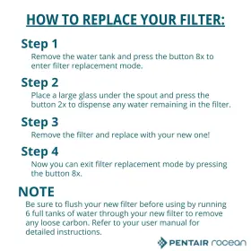 051678990018 ROCEAN Pentair Reservoir Filter Cartridge #3