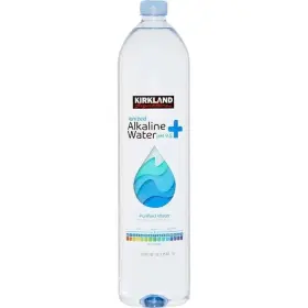 313111970927 WATER Ionized Alkaline