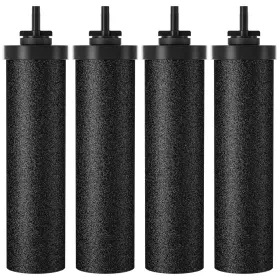 795853113433 SKYSEN Water Filter Berkey