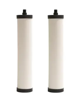 FRC06-2PK STANDARD PLUMBING SUPPLY Franke Cartridge Pack