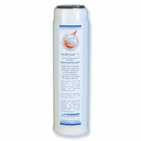 898880000070 WATTS Kdf Rv Carbon Cartridge