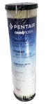 Pentair Omnifilter Rs1 Sediment Filter Cartride Genuine Factory Sealed. Fixed Price $5.99.