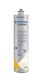 New Pentair Everpure Ev9692-21 4fc Submicron Filter Cartridge Ii Ansi. Fixed Price $99.99.