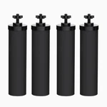 Aqua Crest Water Filter Replacement For Berkey Bb9-2 Purification Elements(4). Fixed Price $65.99.