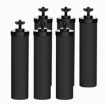 Aqua Crest Water Filter Replacement For Berkey Bb9-2 Purification Elements(6). Fixed Price $85.99.