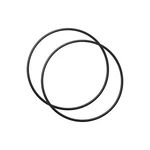 A O Smith Rings Pack Of 2 For Whole House Sediment Filter Replacement. Fixed Price $18.29.