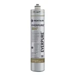 Pentair Everpure Ev961250 Quick Connect Filter, 0.5 Gpm, 14 1/2 In H. Fixed Price $99.95.