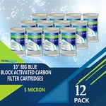 12 Pcs Big Blue Cto Carbon Block Water Filters 4.5" X 10" Whole House Cartridges. Fixed Price $129.99.
