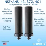 Boroux Original Foundation Black Filters 2 Pack - Berkey Water Filter Compatible. Fixed Price $150.00.