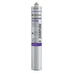 Pentair/everpure Ev961816-75 Quick Connect Filter,5 Micron,2.5 Gpm 5wff2. Fixed Price $143.73.