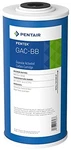 Pentair Pentek Gac-bb Big Blue Carbon Water Filter, 10-inch, Whole House Heav.... Fixed Price $59.02.