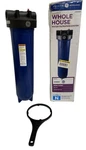 Ge Heavy Duty Whole House Water Filtration System Gxwh60t-replaces Fxwpt, Fxwpx. Fixed Price $79.00.