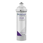 Genuine Pentair Everpure Cto-q10 Ice Machine/ Beverage Filter Cartridge. Fixed Price $79.95.