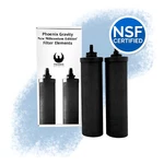 Set Of 2 Berkey Phoenix Gravity New Millennium Edition Filter Elements In Stock. Fixed Price $120.00.